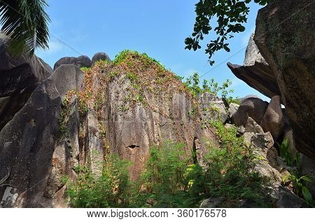 Seychelles Scenery. The Granite Boulders Was Formed During The Precambrian Around 750 Million Years 