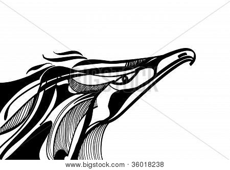 Eagle pää piirustus tyylitelty musta ja valkoinen