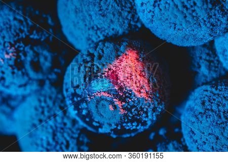 Some Mold Cherry Macro In Blue Light