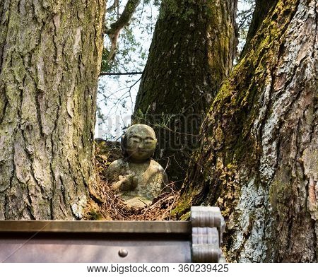 Giant Tree With The Statue Of Kobo Daishi Inside On The Grounds Of Jokaruji, Temple 14 Of Shikoku Pi