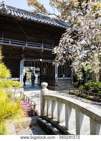 Komatsushima, Japan - April 4, 2018: Cherry Blossoms At The Entrance To Tatsueji, Temple Number 19 O