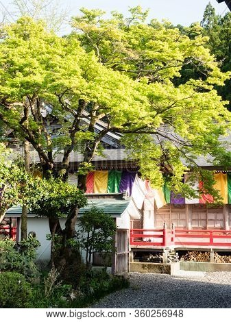 Kochi Prefecture, Japan - April 8, 2018: On The Grounds Of Iwamotoji, Temple Number 37 Of Shikoku Pi