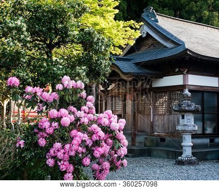 Kochi Prefecture, Japan - April 8, 2018: Springtime On The Grounds Of Iwamotoji, Temple Number 37 Of