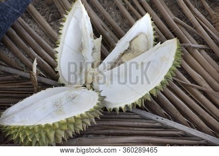 Peeling Local Durian On Dry Leaf Of Coconut At Floor In Banton Beach In Narathiwat, Thailand