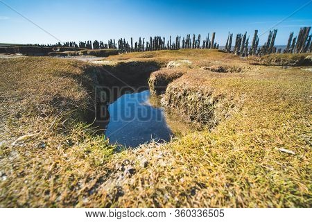 Textures Dry Sea Bottom And Old Dike At Low Tide, Tidal Marsh Along The Shore, Vegetated Mud Flats A