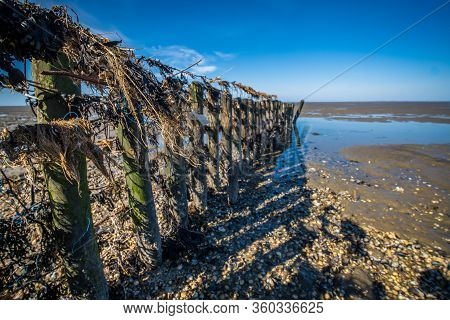 Fence With Debris In The Wadden Sea At Low Tide Along The Coast With Shells And Mud Flats, The Nethe
