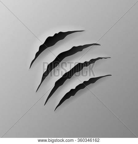 Realistic Torn Grey Paper, Four Claws Scratches With Jagged Edges In Sheet, Vector Illustration.