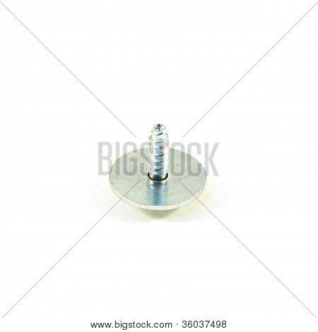Screw