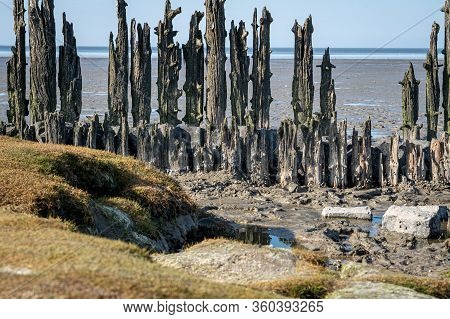 Textures Dry Sea Bottom And Old Dike At Low Tide, Tidal Marsh Along The Shore, Vegetated Mud Flats A