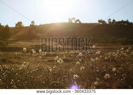 Mountain Field At Golden Hour. Beautiful Landscape During The Golden Hour. Crimea.