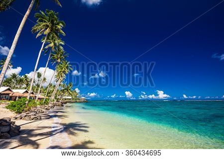 Vibrant tropical beach with palm trees, Upolu, Samoa.