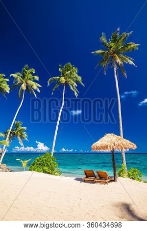 Vibrant tropical beach with palm trees, Upolu, Samoa.