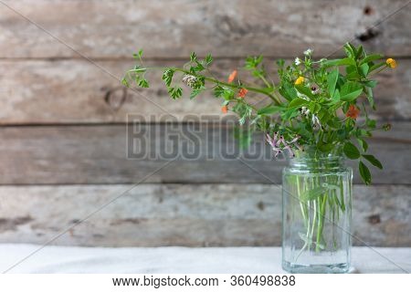 Meadow Natural Wildflowers Bouquet In Glass Jar On Wooden Background. Herbal Medicine Concept.countr