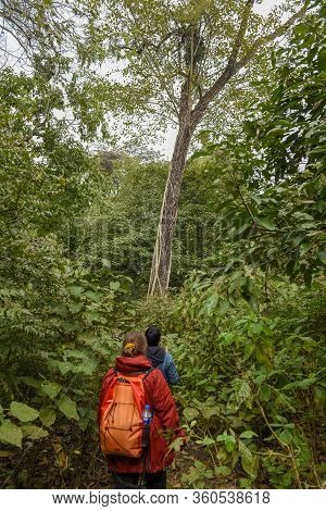 Tourists On A Safari Walk At Chitwan National Park On Nepal