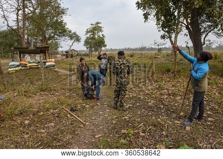 Tourists On A Safari Walk At Chitwan National Park On Nepal