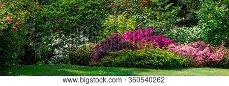 Beautiful Garden With Blooming Trees During Spring Time, Wales, Uk, Banner Size