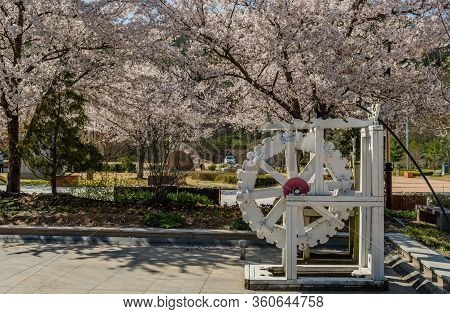 Hwanggan, South Korea; April 8,2020: Closeup Of White Wooden Waterwheel Under Branches Of Beautiful 