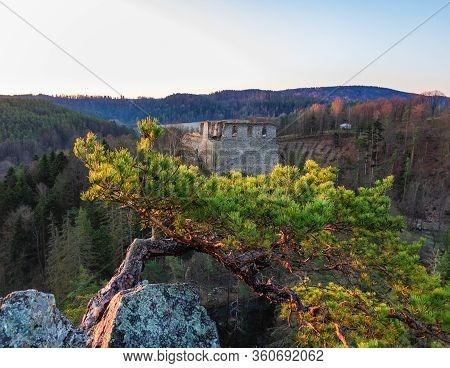 Old Ruin Divci Kamen With Rock And Tree At Sunrise. Czech Republic