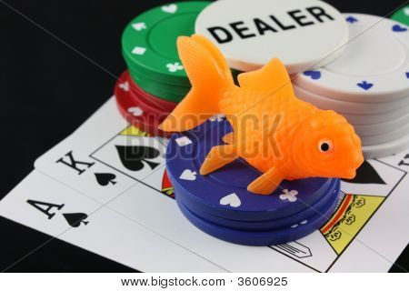 Fisch-poker