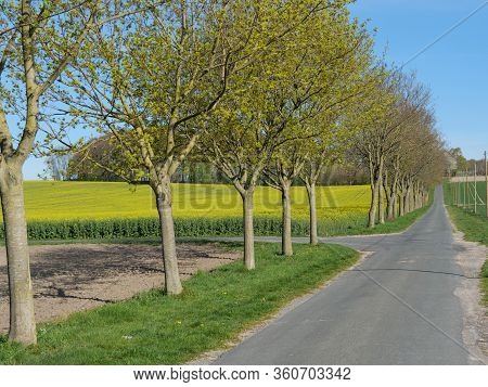 sunny day in the baumberge in germany