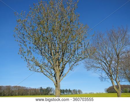sunny day in the baumberge in germany