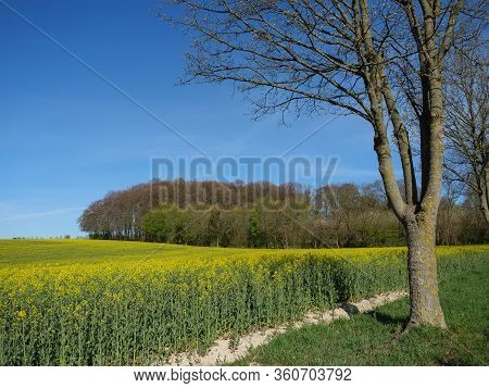 sunny day in the baumberge in germany
