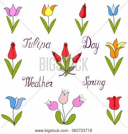 Celebrate Happy Spring Vector  Illustration. Happy Birthday Celebrate Hand Draw Vector  Illustration