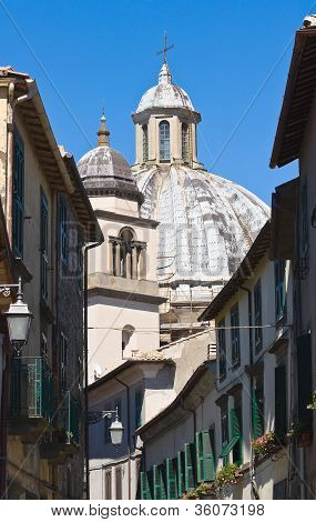 Gyde. Montefiascone. Lazio. Italien.