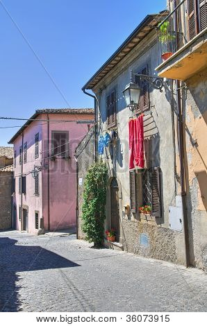 Gyde. Montefiascone. Lazio. Italien.