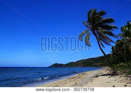 Perfect Day: Beautiful Beach In Fiji / Tranquil Scenery