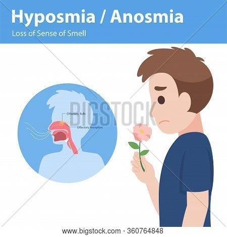 Hyposmia Anosmia, Loss Of Sense Of Smell Info Graphic Elements The Signs Of Corona Virus Symptoms , 