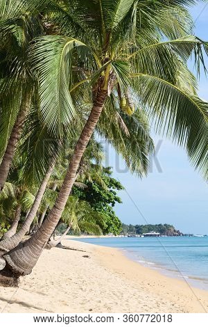 Tropical Sand Beach At The Morning.