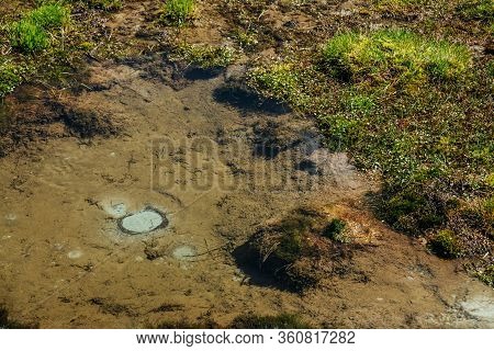 Top View To Beautiful Small Geyser Lake With Silty Bottom Among Mosses Close-up In Sunny Day. Vivid 