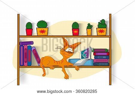 World Book Day. Different Color Books With Ornament On Shelf With Cat On Bookshelf. Tabby Red Cat Ly