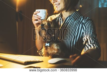 Pet With Graphic Designer Working At Night At Home Workplace On Background Monitor Computer, Isolati