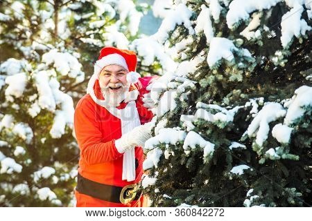 Merry Christmas And Happy New Year Concept. Christmas Celebration Holiday. The Morning Before Christ
