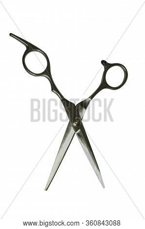 Silver Professional Scissors For Cutting. Isolated Object On White Background. Working Tool Of A Hai