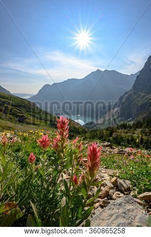 Indian Paintbrush Below Sun Burst In Montana Mountains