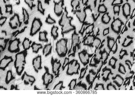 Beautiful Horizontal Texture Of Gray And White Microplush Or Fur For Textile And Hand Made Sewing