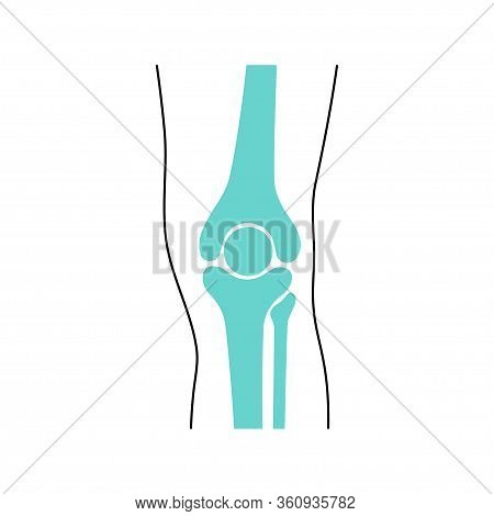 Human Knee Symbol. Knee Joint And Meniscus Anatomy. Vector Flat Concept Illustration. Isolated On Wh
