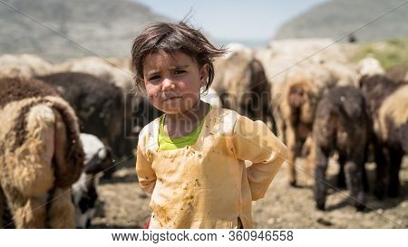 Shiraz, Iran - May 2019: Portrait Of Qashqai Turkish Girl With A Group Of Goats. The Qasqhai Are Nom