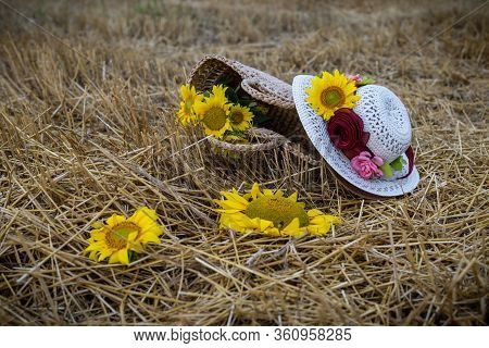 Still Life Of Hats And Baskets With Sunflowers On A Mowed Field