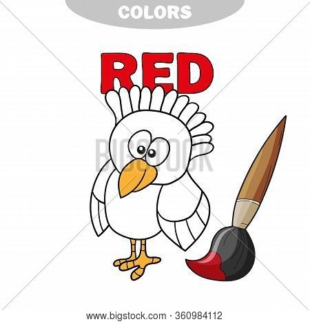 Coloring Book - Finny Bird. Learn Colors - Red