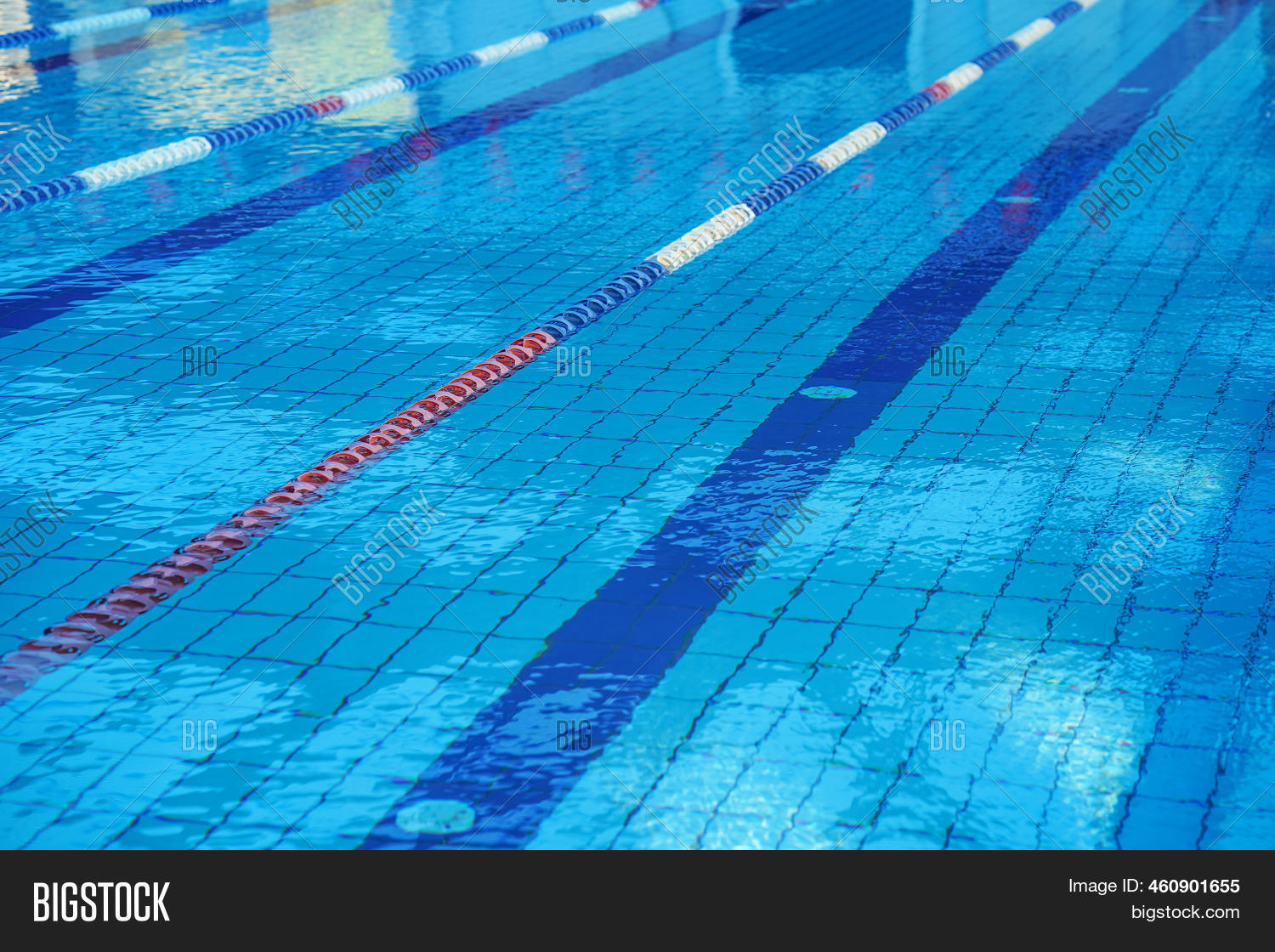 Lanes Competition Image & Photo (Free Trial) | Bigstock