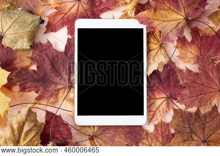 Digital Tablet Mock-up And Autumn Leaves, Pink Background. Online Shopping, Studying, Sales Mockup. 