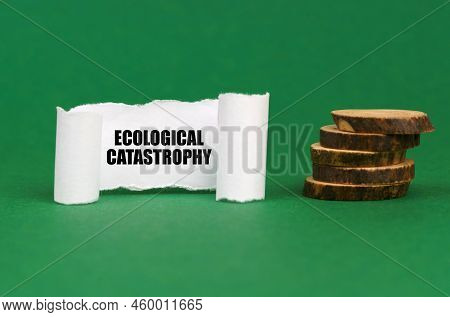 Ecological Concept. On A Green Surface, Wooden Circles And A White Paper Plate With The Inscription 