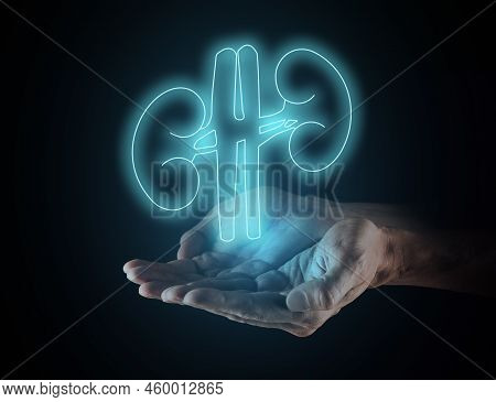 Kidneys Health, Concept. Virtual Glowing Kidneys In Doctors Hands On Black Background