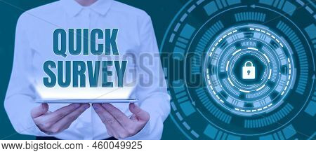 Handwriting Text Quick Survey. Word For Conduct Fast Check On Condition Value Situation Of Something