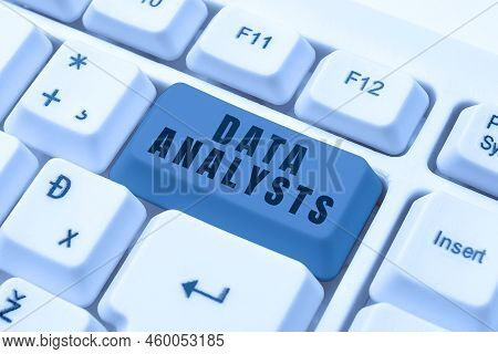Conceptual Caption Data Analysts. Internet Concept Programmer Design And Create Report Identifies Pa