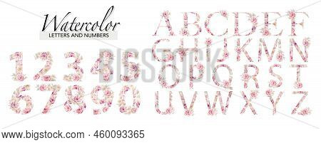 Watercolor Alphabet And Number Set. Watercolour Floral Illustration Isolated On White Background.
